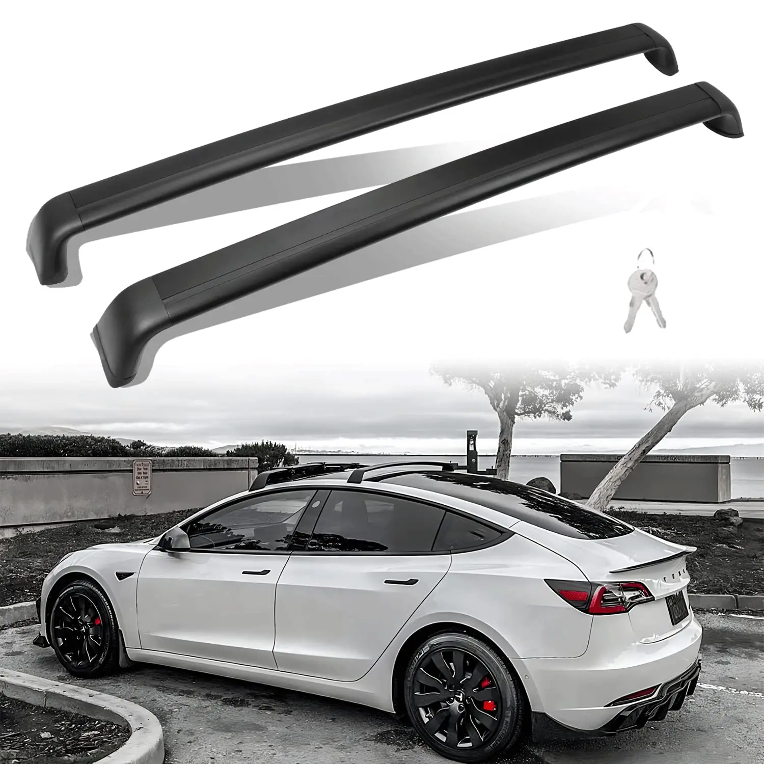 

Cross Bar Accessories Rooftop Luggage Cargo Carrier Canoe Kayak Bike Roof Rack for Model 3 Model Y