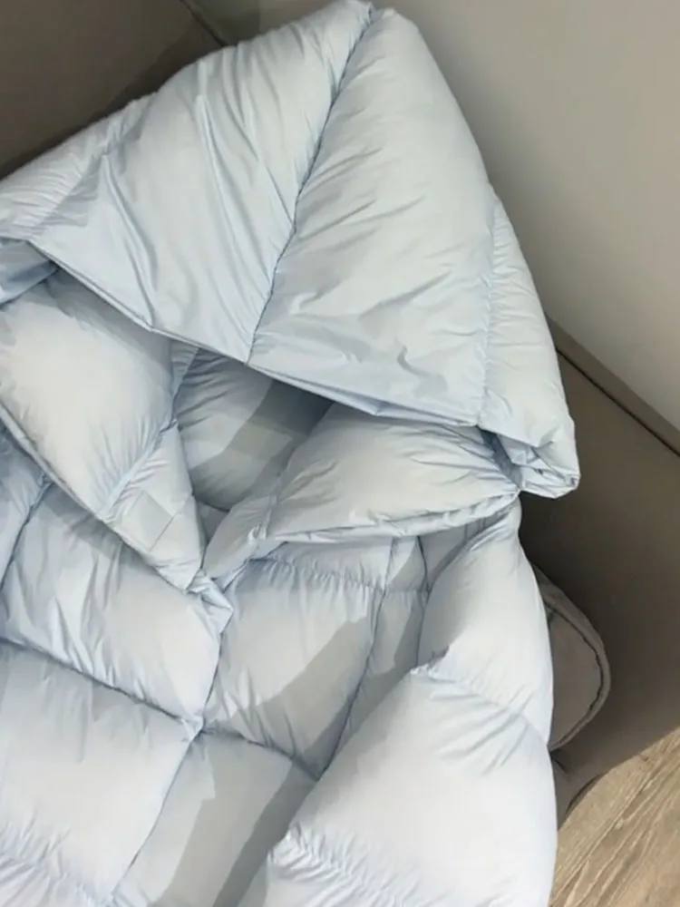 Einzigartiger ort blauer Daunenmantel für Damen mit Kapuze, Jaet Winter 2022, neuer Sle Premium-Brotmantel, Thi-Oberbekleidung, koreanischer Sle Commute