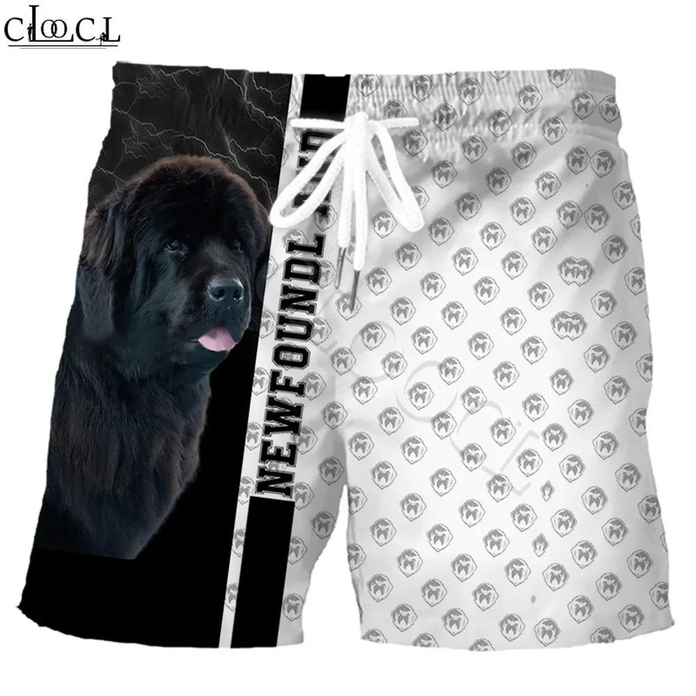 CLOOCL, pantalones cortos para hombre, pantalones cortos deportivos con estampado 3D de Bulldog Inglés de animales, pantalones cortos informales de moda Harajuku Hip Hop para playa, envío directo