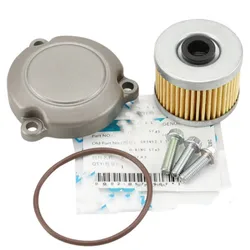 For Cfmoto Motorcycle 250NK 250SR 250CLX Speceial Tools Machine Filter Oil Element Original Maintenance Parts Accessories
