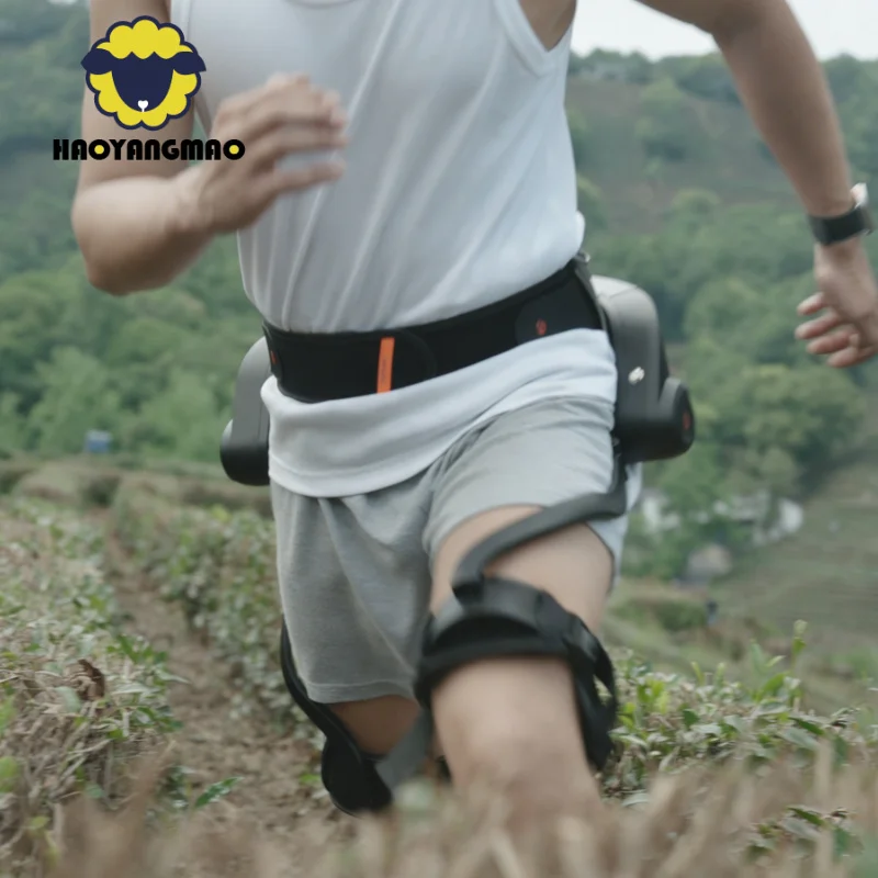 Intelligent Rehabil…