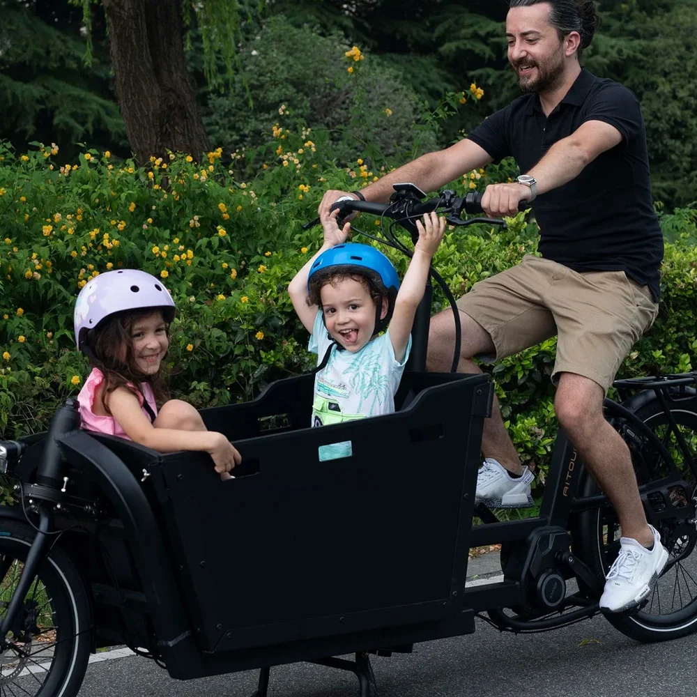 OEM 2 Wheel Electric Cargo Bike