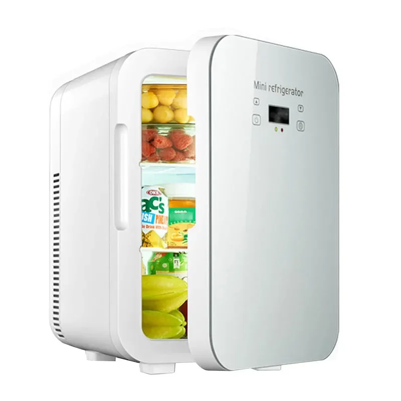 10L Mini Skincare Fridge AC DC Mini Portable Thermoelectric Cooler And Warmer Refrigerators With LCD Temperature Display