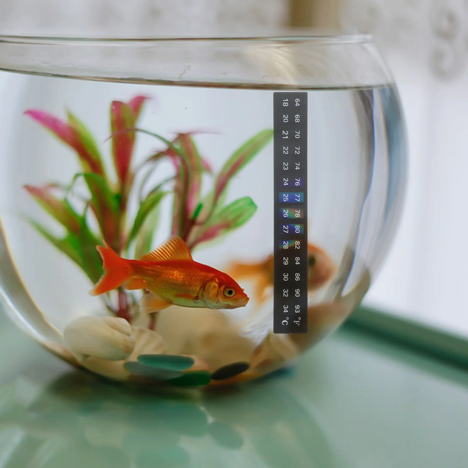 

10pcs Temperature Sticker 18-34 Celsius Aquarium Thermometer Stick On Strip For Fish Tank Wine Jar Kombucha Brewing Adhesive