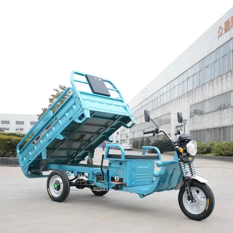 Hot Sale Electric Cargo Tricycle  Colors in Stock Electric Tricycles 3 Wheel Electric Cargo Bike