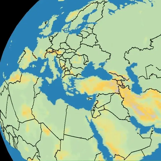 

optional payment pay