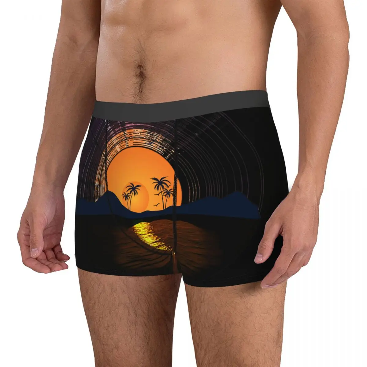 Exotic Underclothing Vinyl LP Music Record Sunset 25 Summer Wearable Men's Boxer Briefs Funny Funny Novelty