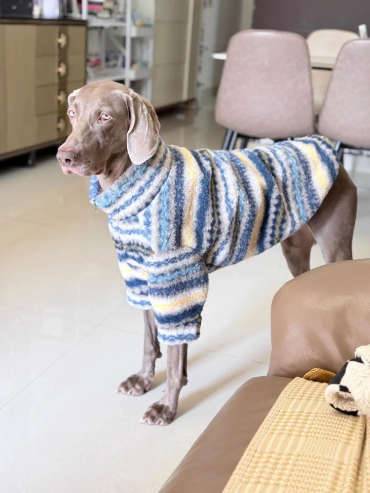 Thumbnail 4 - #8 Compare Dog Jumpers Before You Buy
