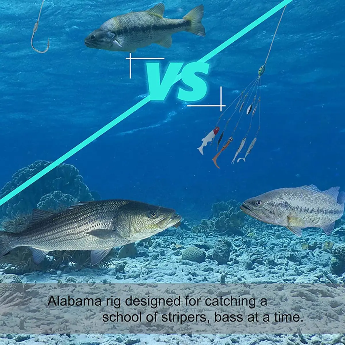 ملحقات الصيد، أدوات المظلة لصيد الأسماك، مجموعة أدوات صيد الأسماك في المياه العذبة، أزرق