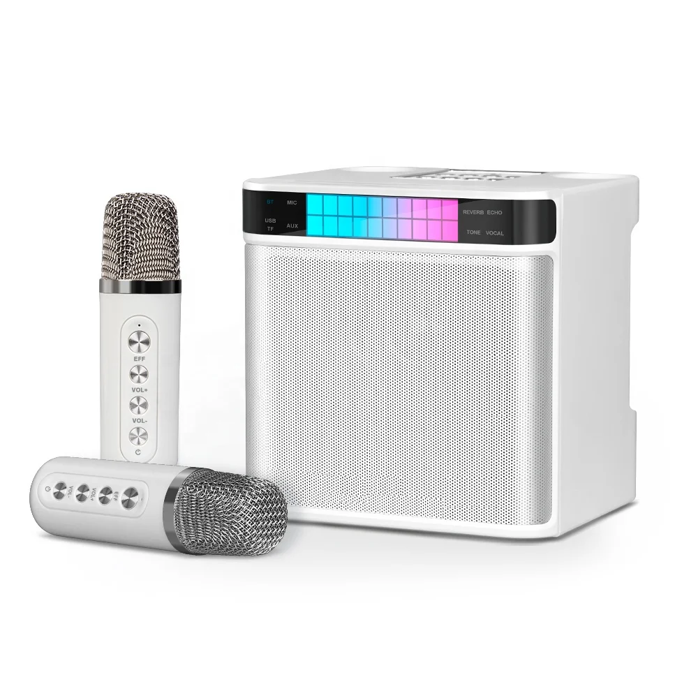 Biner YS-223 Outdoor Karaoke Wireless Small Mini Bluetooth Sound Karaoke Speaker With 2PCS Wireless Microphones