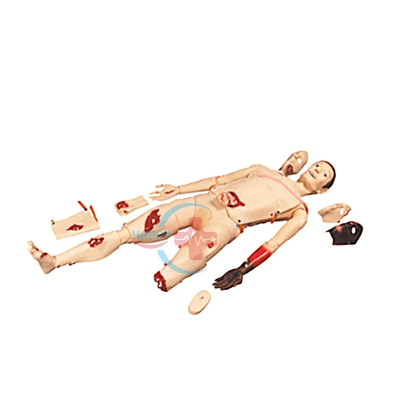 HC-S037 Advanced Wound Care Nursing Training Manikin Medical Simulation Teaching Trauma Models In Good Price