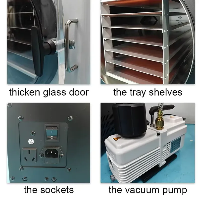 110V 10kg Automatic Freeze Dryer Machine Food Dehydrator Fruit Vegetable Meat Preservation Home Commercial Use Factory Supply
