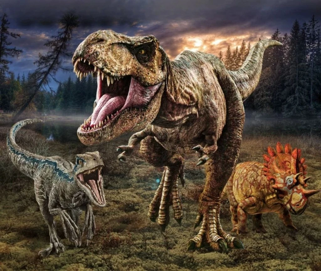 Jurassic Dinosaur Boy Large-Sized T-Rex Megalosaurus Velociraptor Jointed Action Figure with Sound Effects Model Toy Collection