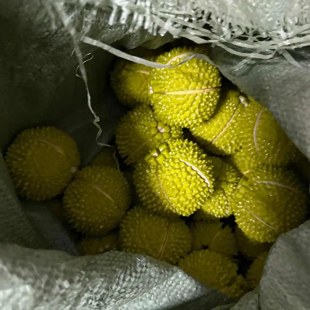 Juguetes de corte de frutas para niños, juego de simulación Durian, Dinette, juegos sensoriales de comida y fruta, juguetes educativos para jugar a las casitas, cocina