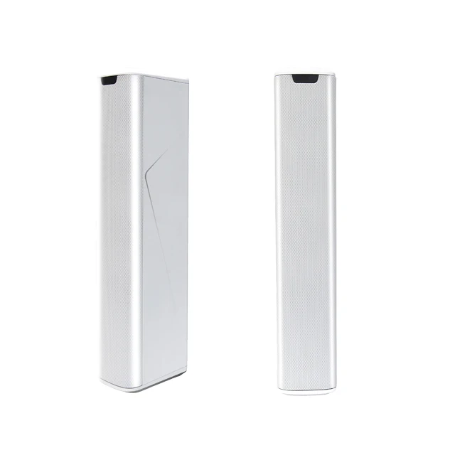 

100w Waterproof Outdoor and Portable Array Column Speaker for External