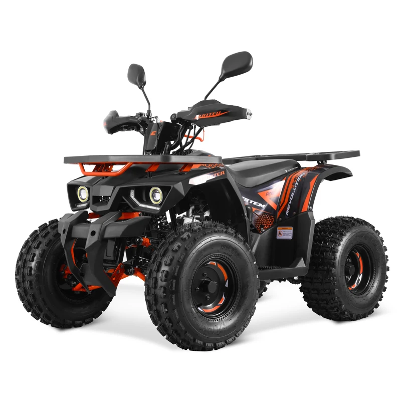 Tao Motor 2024 New EFI Electronic Fuel Injection ATV 125 Cheap Chinese Automatic with Reverse Chain Drive Farm ATV 125cc ATV