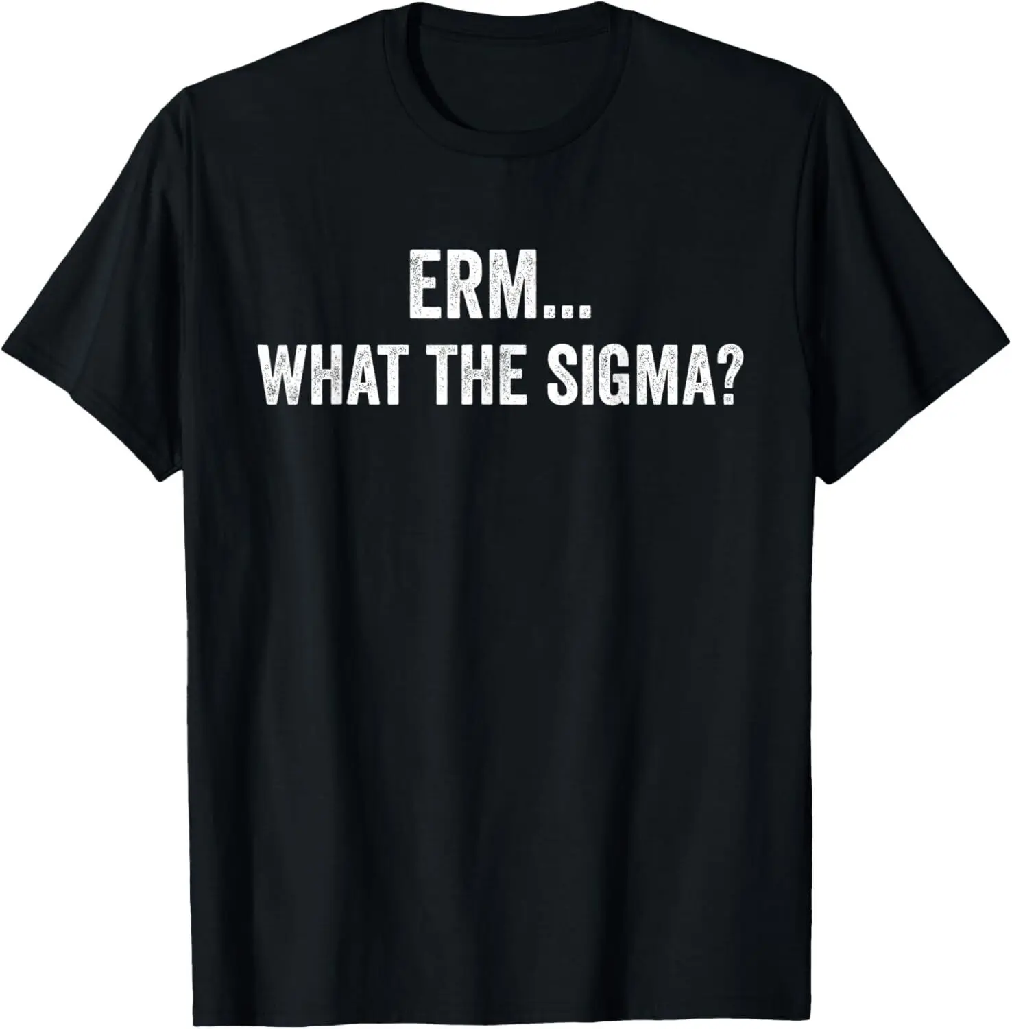 Erm What The Sigma Funny Men Women Kids Math Teacher Tee T-Shirt