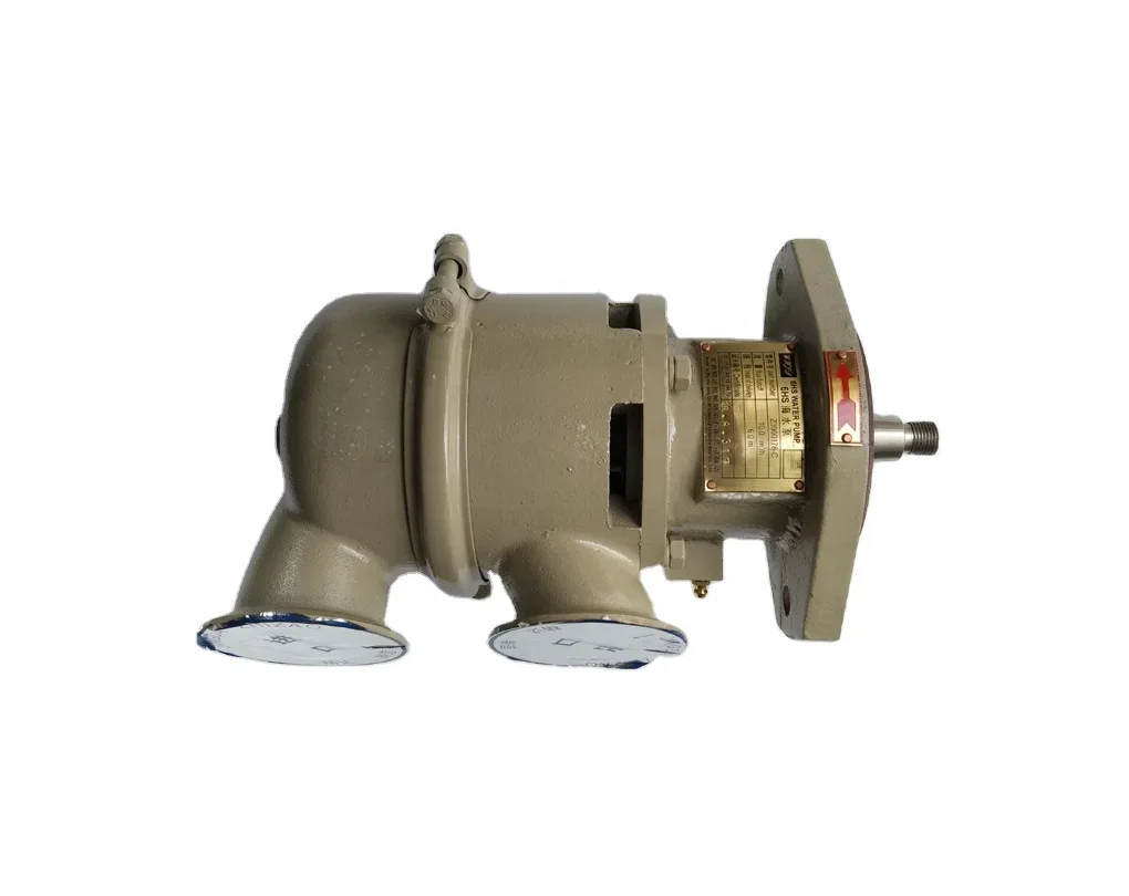 Marine Engine Parts 4BT 6BT 6CT Fuel Sea Water Pump 3900415 3900176