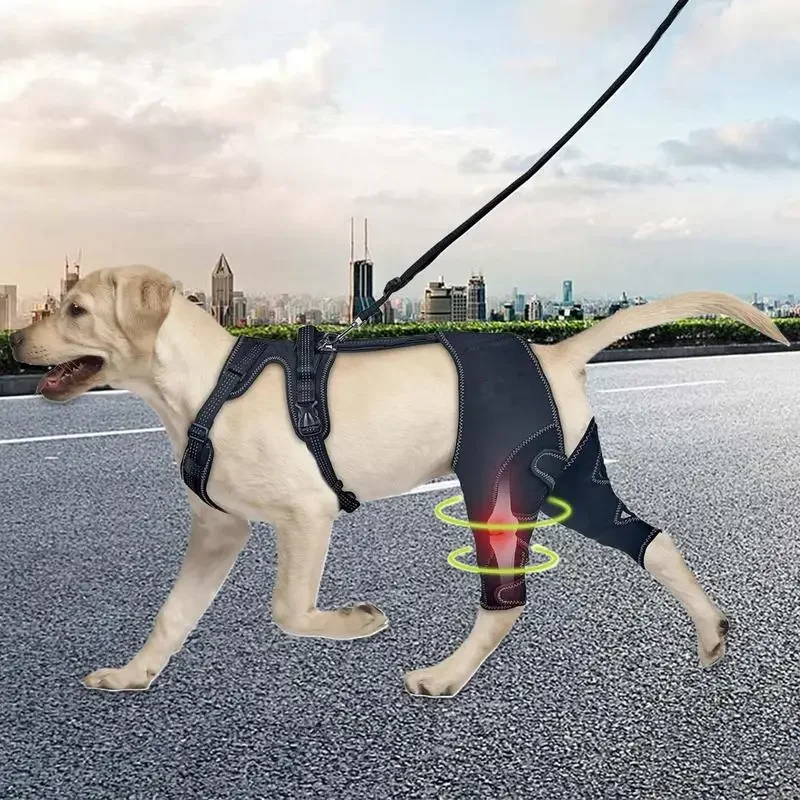 Adjustable Dog Orthopedic Brace Pet Hip Leg Joint Support Wrap Keep Pet Joint Warm & Stable Recovery Tool