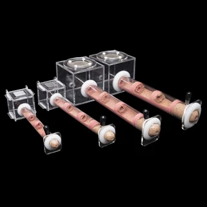 أعلى 8 مبيعات لملكة النمل - رقم 6