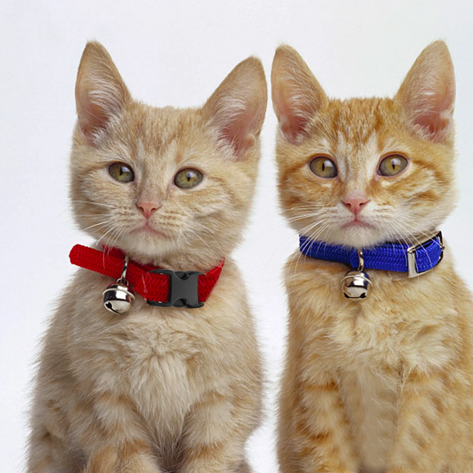 

Side release buckles Side release plastic buckles plastic buckle 3/8 inch plastic buckles for paracord bracelets