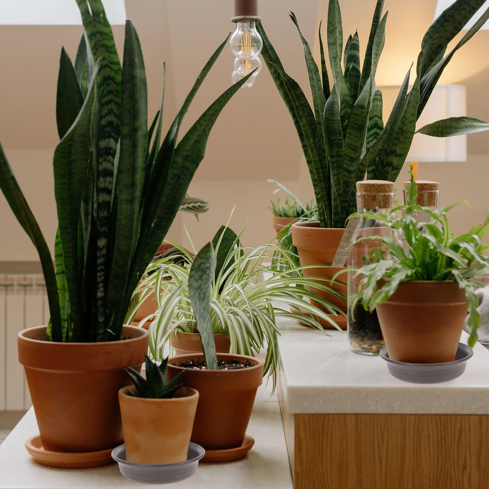 2 قطعة صلصة النباتات البلاستيكية الراتنج صينية أصيص زهور مستدير قاعدة مجمع المياه داخلي في الهواء الطلق البستنة صينية تنقيط صواني أصيص زهور