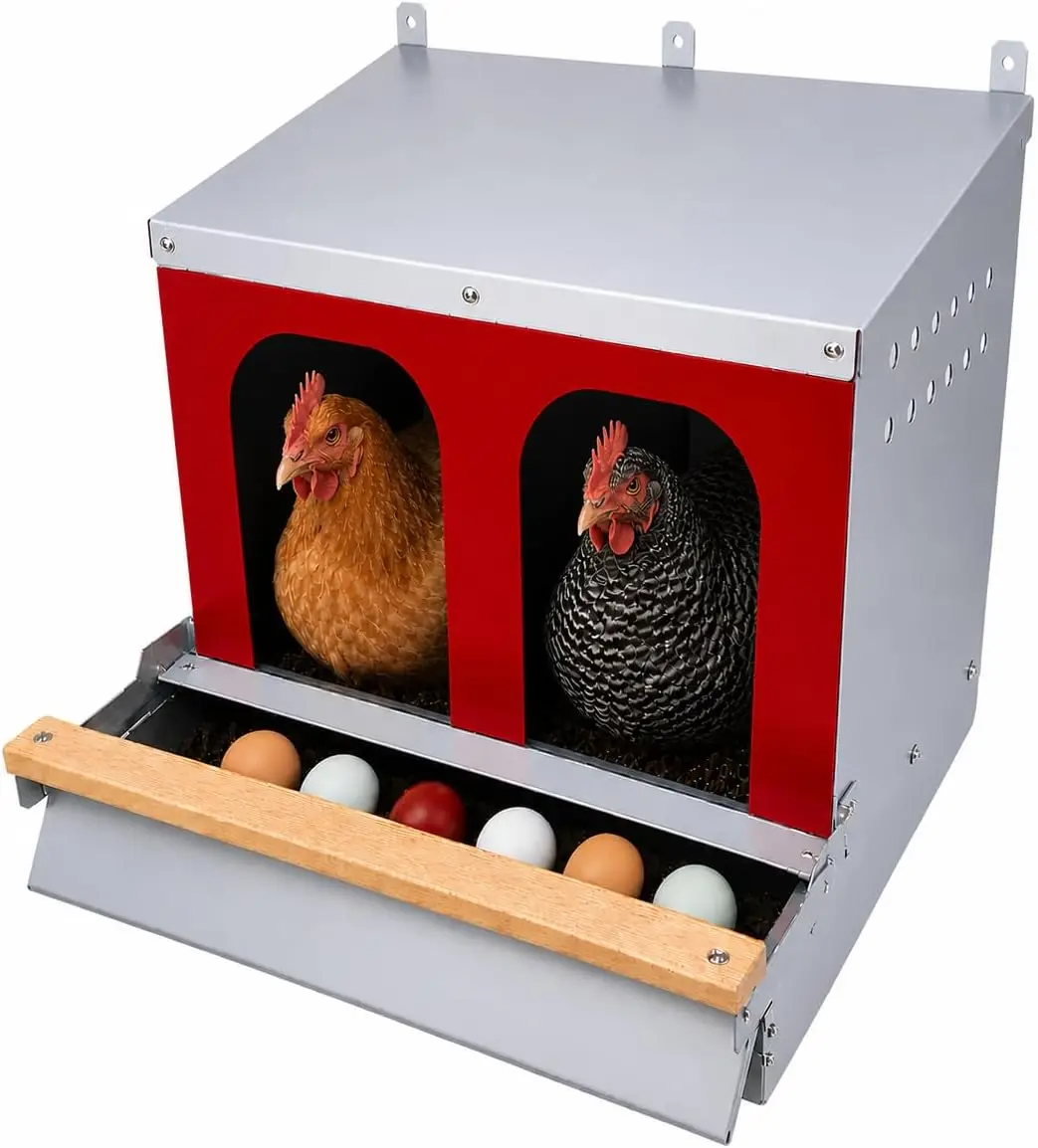 ™ - Reversible Roll Out Nest Box for Chickens | Roll Away Nest Box | 2 Compartment 21