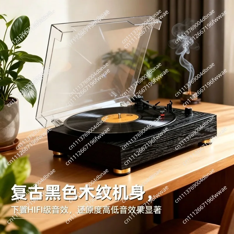 Portable vinyl record player acrylic dust cover desktop dual speaker system vinyl phonograph