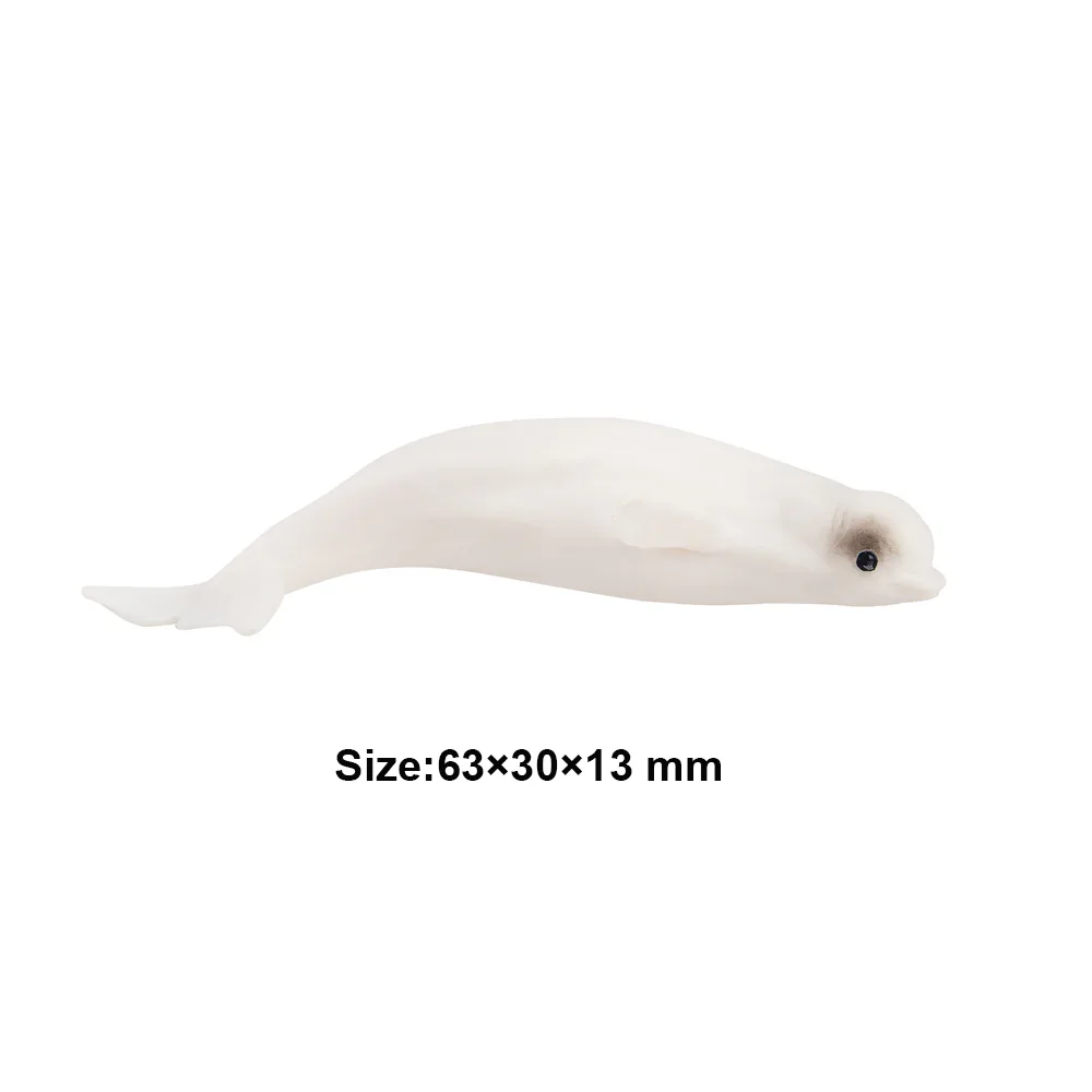 Toymany محاكاة بيلوغا المحيط نماذج للحيوانات لعبة شخصيات صغيرة دمى عمل التماثيل لعب الأطفال هدية كعكة الديكور #3