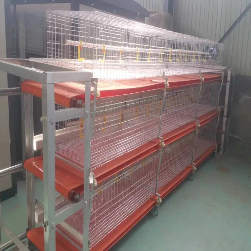 

China Factory Manufacture Broiler Chicken Cage for Sale