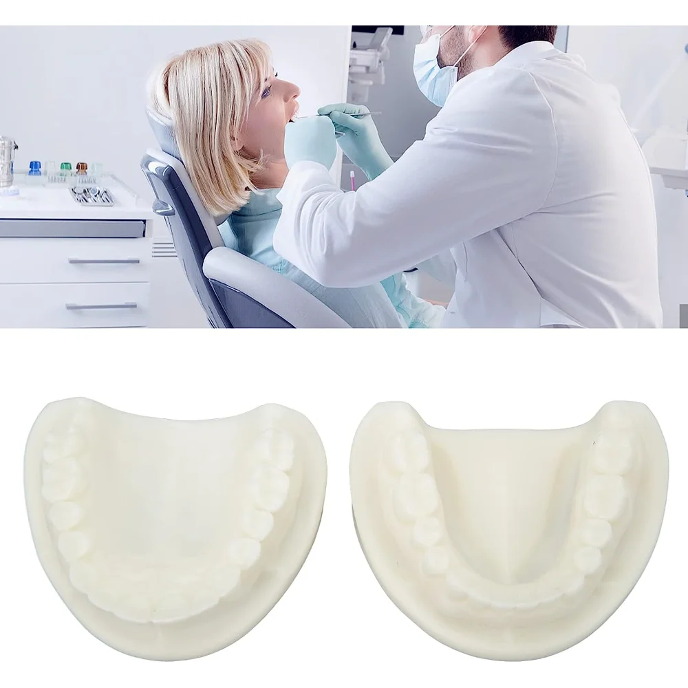 

1pc Teeth Model White Dental Model White Corundum Simulation Educational Wear Resistant for School for Teachers