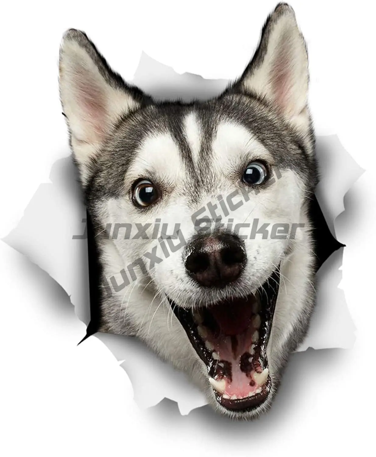 Husky DOG Car Sticker Cross Country Vehicle Motorcycle Auto Parts Personalized Decoration Refrigerator Bicycle Helmet Car Decal