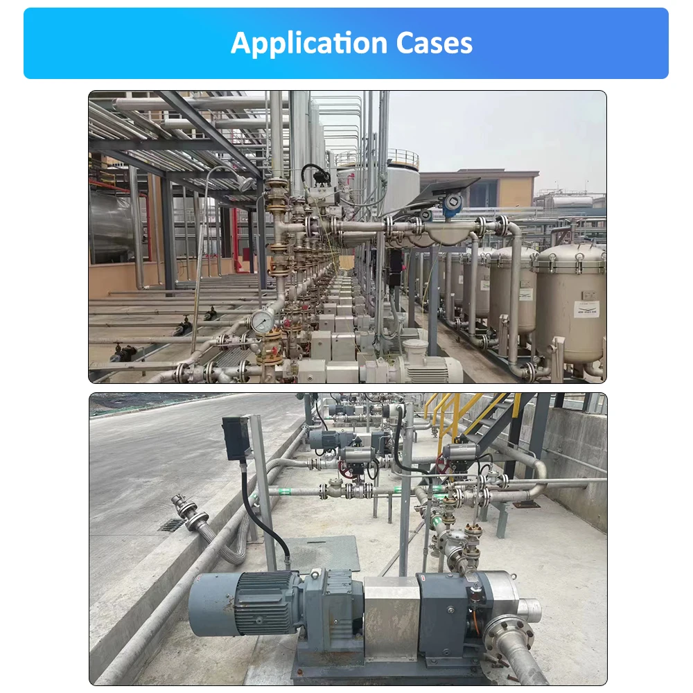 Stainless Steel Sanitary Grade Transfer Pump High Viscosity Syrup Sauce Food Colloid Pump Asphalt Volumetric Cam Rotor Pump