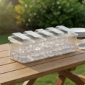 5-Compartment 5-Pa A