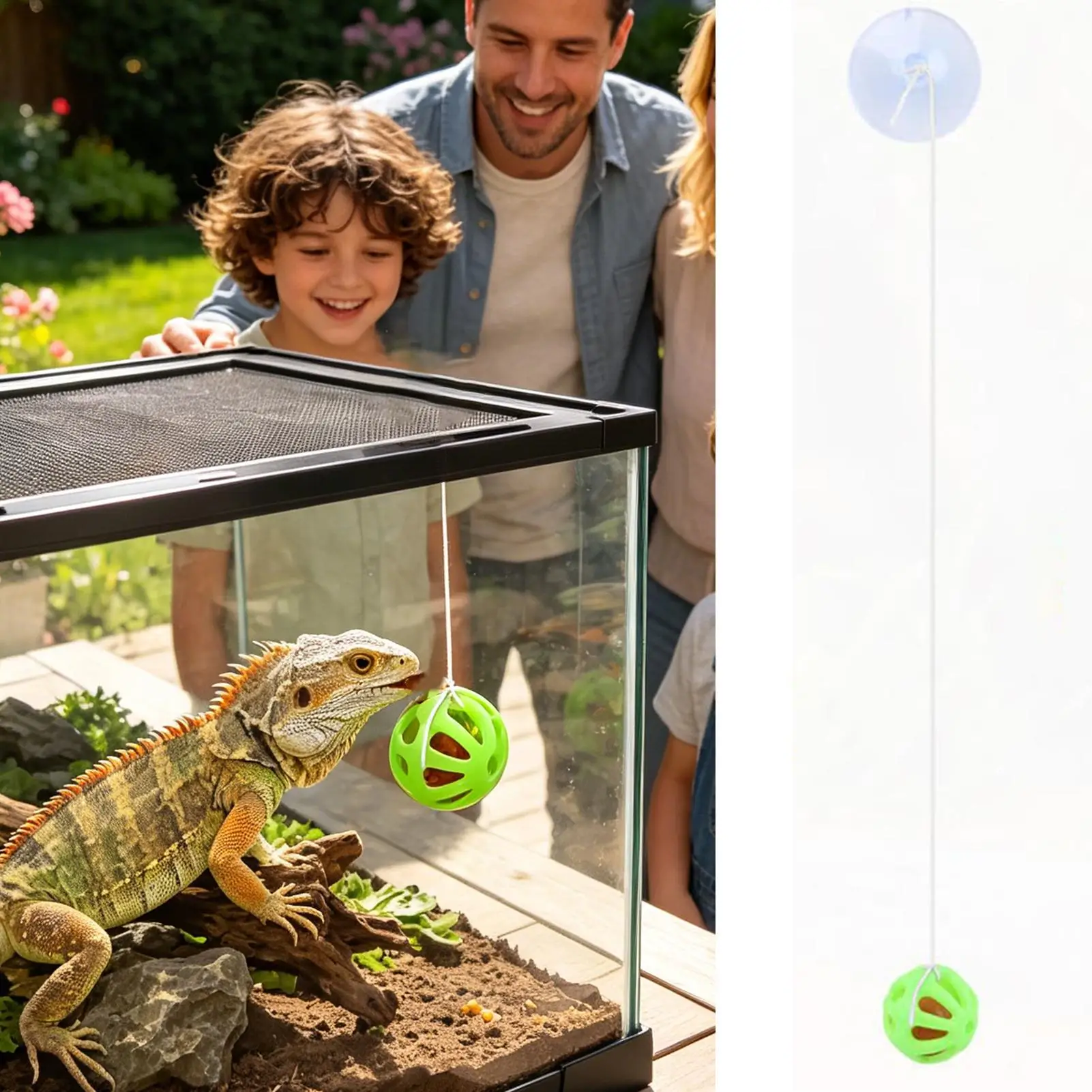 Suction Cup Gecko Bell Ball Bearded Dragon Toys Interactive Lizard Feed Ball for Keepers Pet Parents Animal Lovers Terrarium view 3