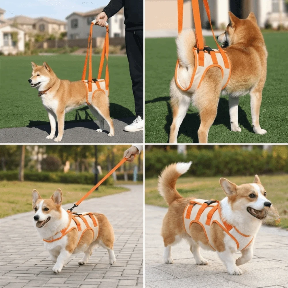 Adjustable Straps Dog Lift Harness Lightweight Build Breathable Mesh Dog Support Strap Padded Handle Adjustable Buckles