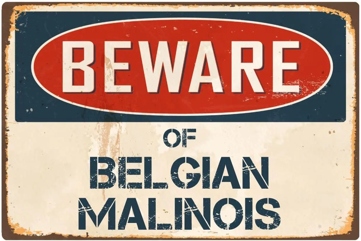 Beware Of Belgian Malinois 8” x 12” Vintage Aluminum Retro Metal Sign VS048