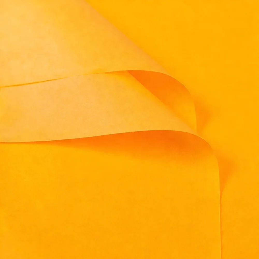 Fogli di Carta Velina Floreale - Florist Supply Paper recensione e prezzo