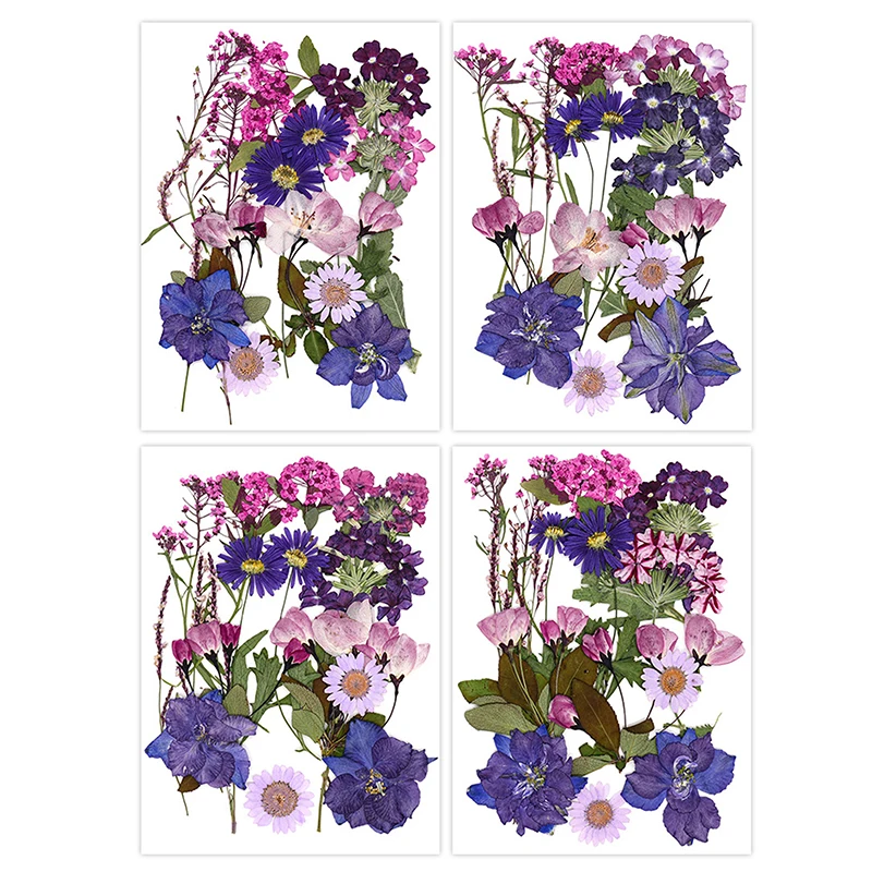 حشوات راتنج زهور مجففة منقوشة ، زهرة حقيقية لتزيين المنزل ، مشغولات يدوية لفن الأظافر ، مشغولات صناعة المجوهرات ، سهلة الاستخدام ، ممتعة #2