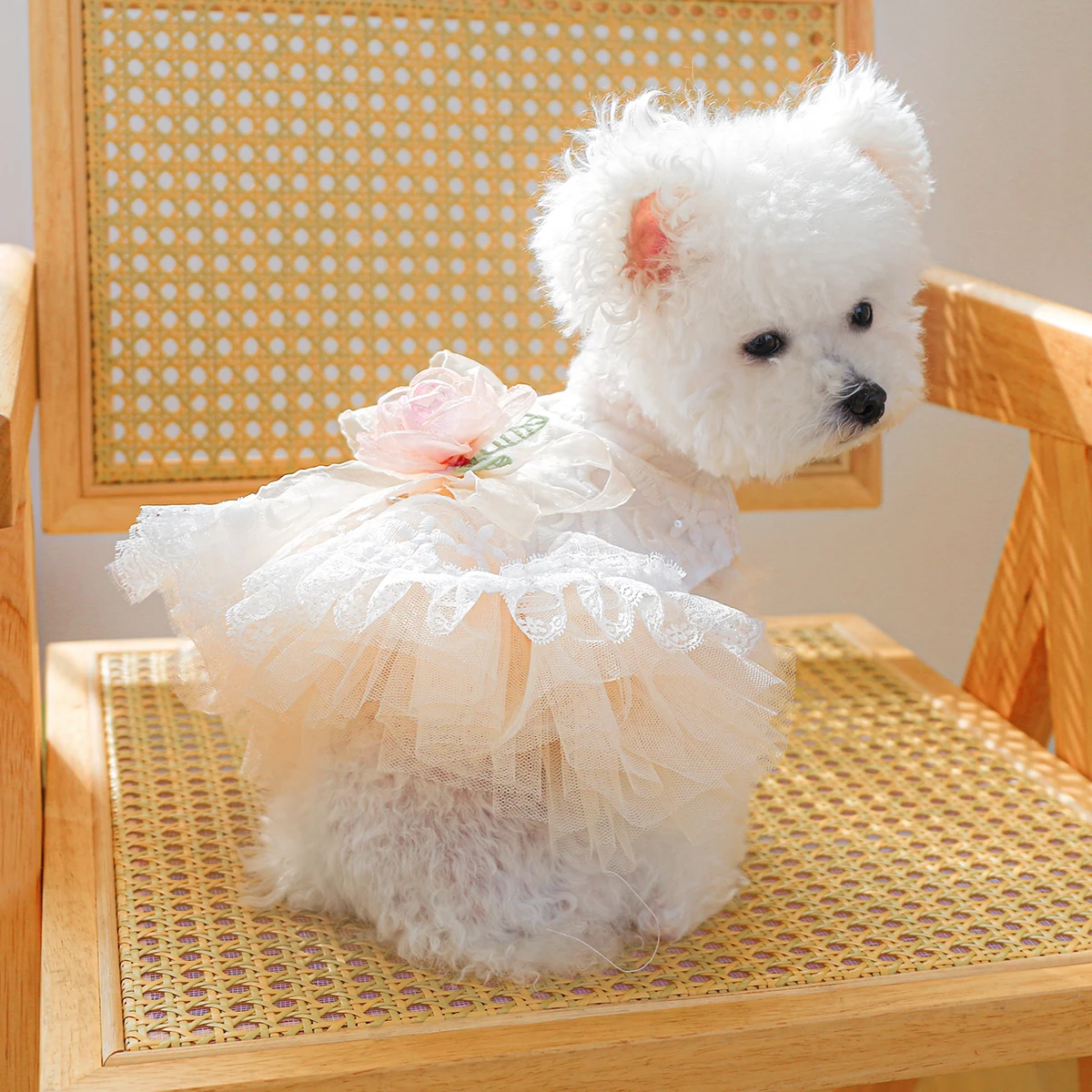 1PC Pet Clothing Cat Spring/Summer Thin White Retro Flower Dress Princess Wedding Dress Suitable for Small and Medium Dogs