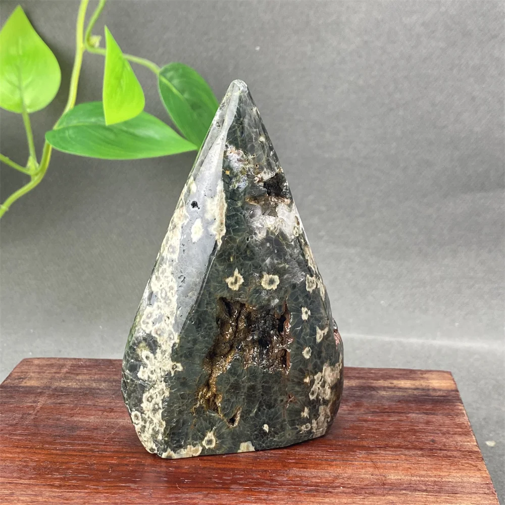 

Natural Marine Jasper Crystal Ornaments Reiki Massage Magic Free Form Home Decoration Gifts Healing Stone Mineral Jewelry