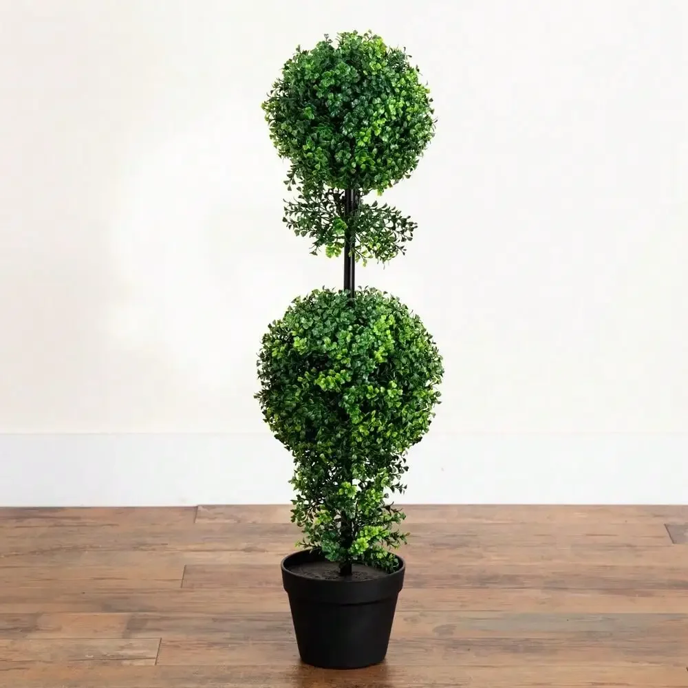 34” Boxwood Double …
