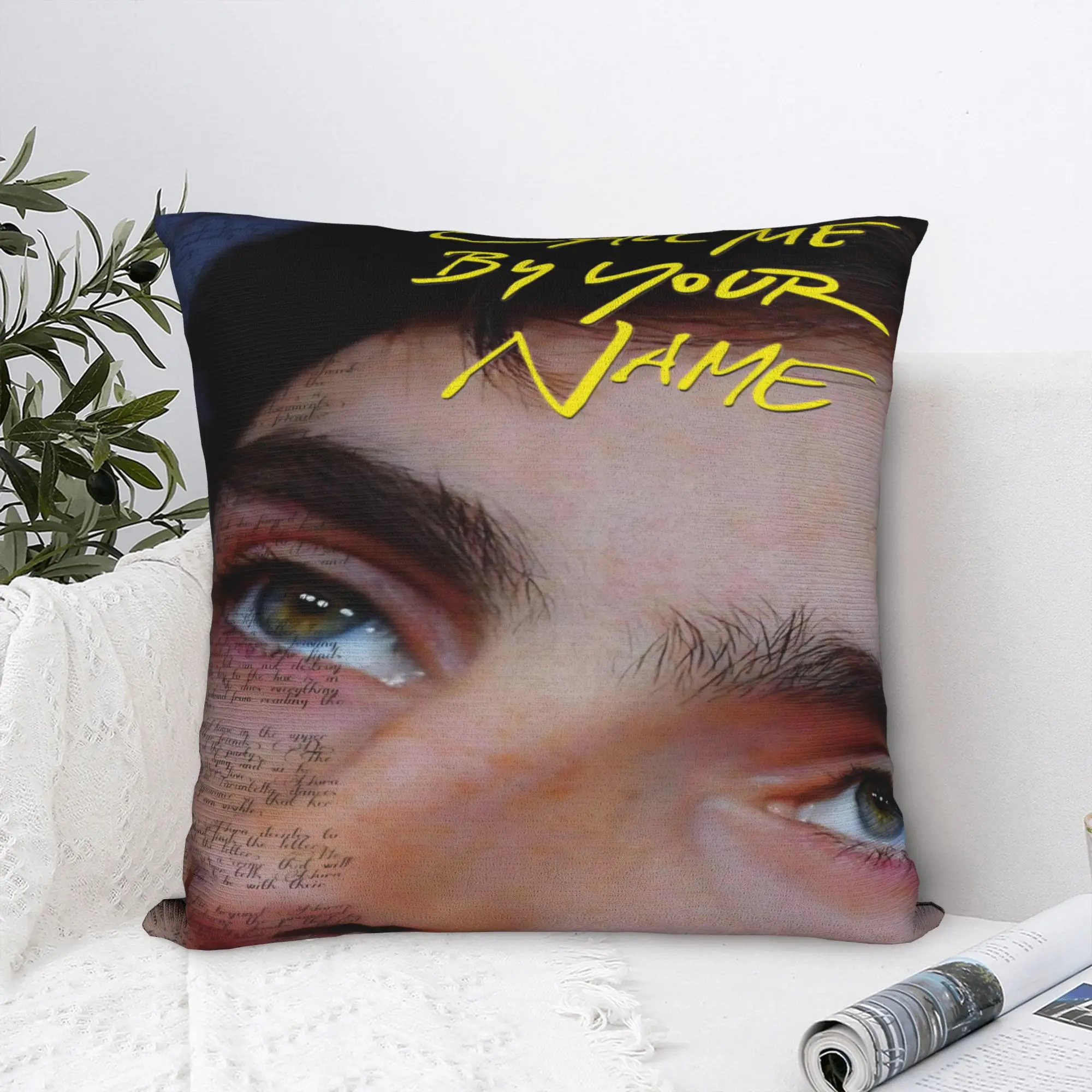 Call Me by Your Name Pillowcase Accessories Soft Cushion Cover  Pillow Covers Bed Decorations Zipper Multi-Size