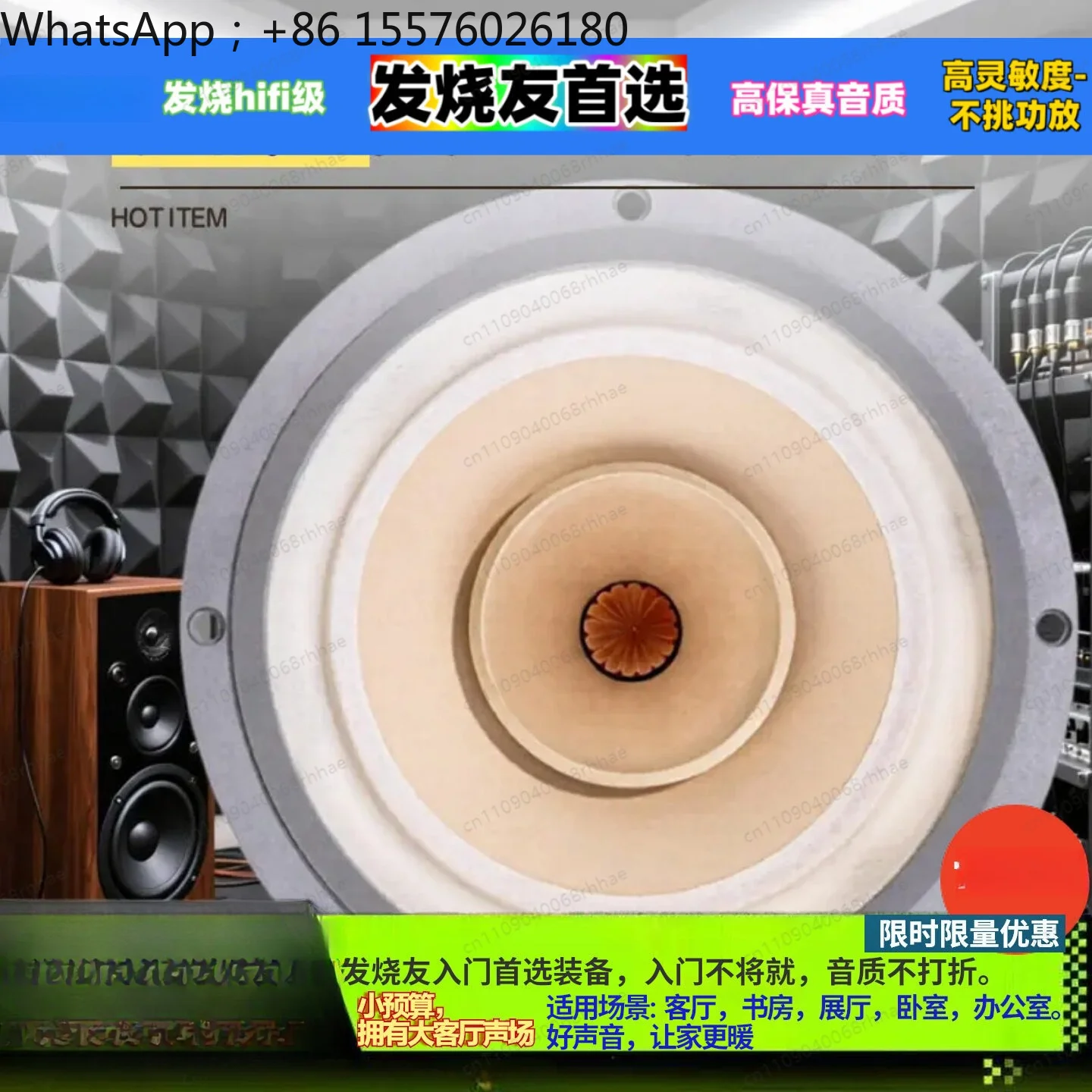 FAST-8-inch Full-range Speaker, Audiophile-grade Hifi, High-quality Shocking Sound Quality, Selected Vocals
