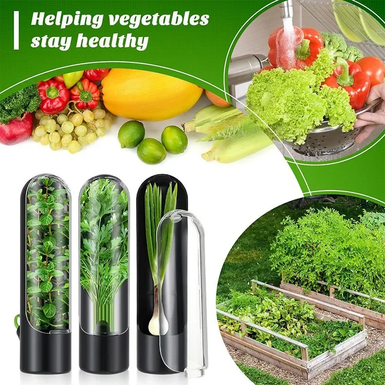 Herb Fresh Bottle Vegetable Fresh Bottle Refrigerator Household Fresh Box For Storing Vegetables Home Kitchen Supplies