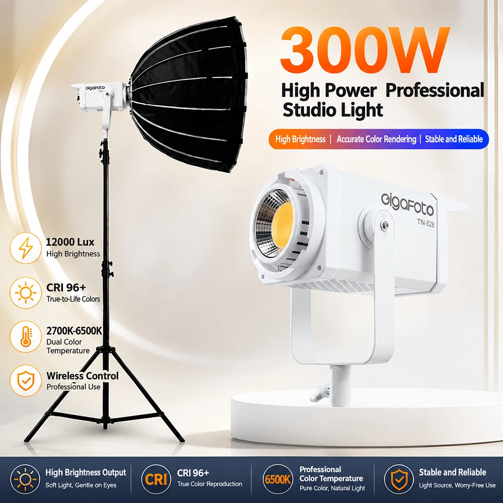 300W Professional COB Video Light High End Lighting Technology Studio Photography Fill Light for Portrait Live Stream Shooting