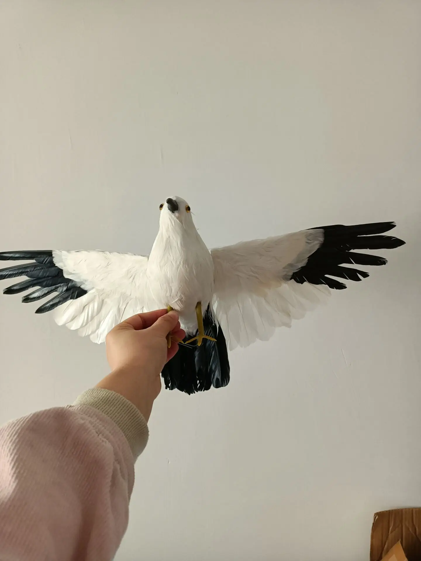 

new simulation foam and feathers wings white&black seagull model toy gift about 30x60cm h2710