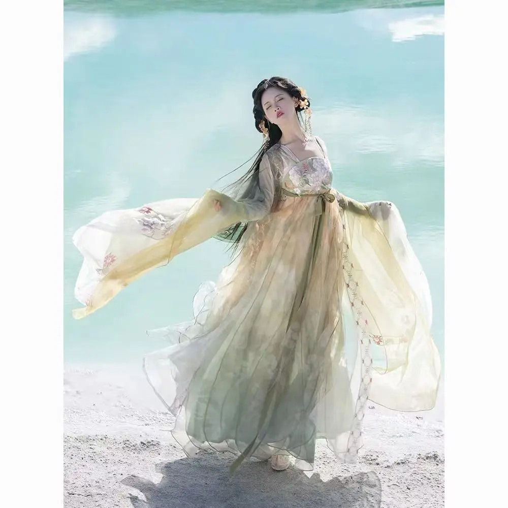 Hanfu embroidered pleated skirt flower gown big sleeve gradual color mesh printing female summer Chinese traditional style