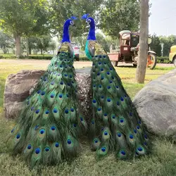 Customised Manmade Peacock Home garden decoration Feather Bird model Film shooting props ornaments Wedding Party Gift d2292