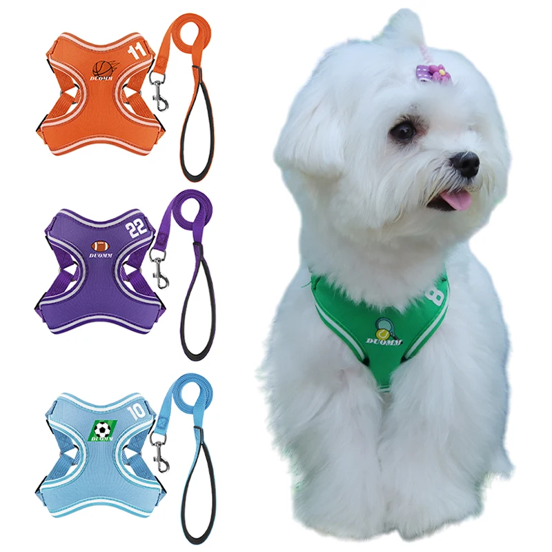 Dog Harness and Leashes Set Small Dog Vest Style Cartoon Pet Harness Adjustable Dog Leash for Small & Medium-sized Dogs and Cats